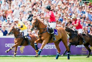 Chestertons Polo in the Park Polo Players