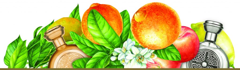 Citrus fruit illustration with Boadicea the Victorious perfume bottles